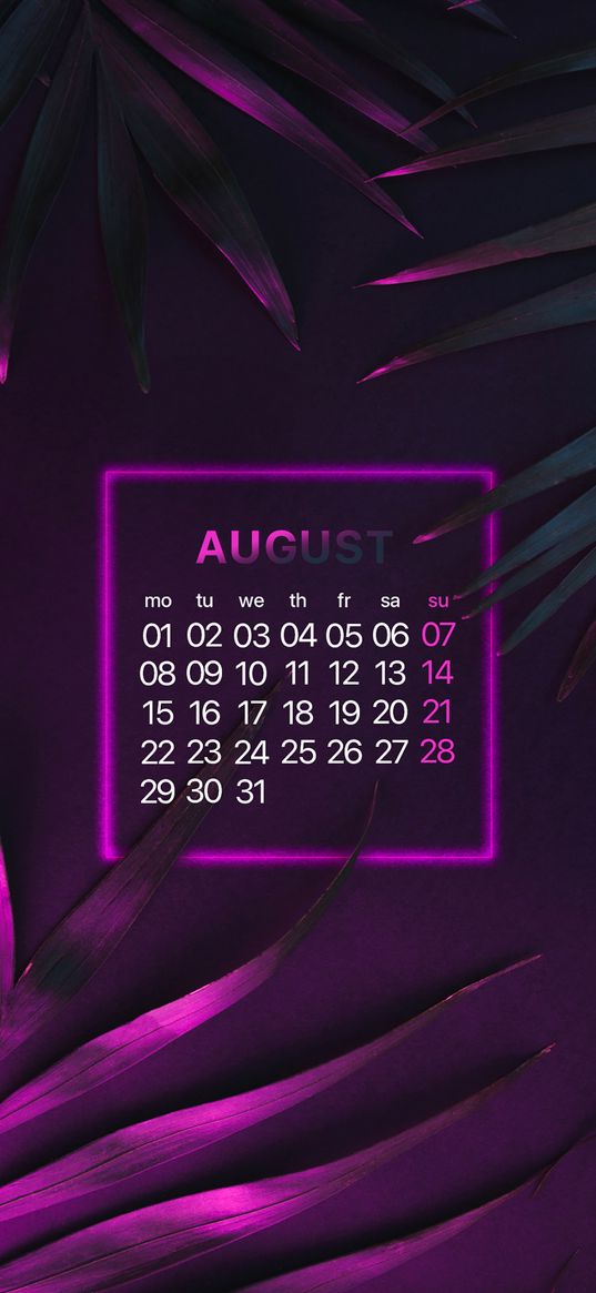 calendar, august, leaves, neon, purple