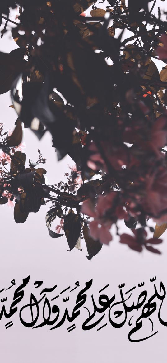 flowers, pink, sky, alhamdullila, islam, inscription