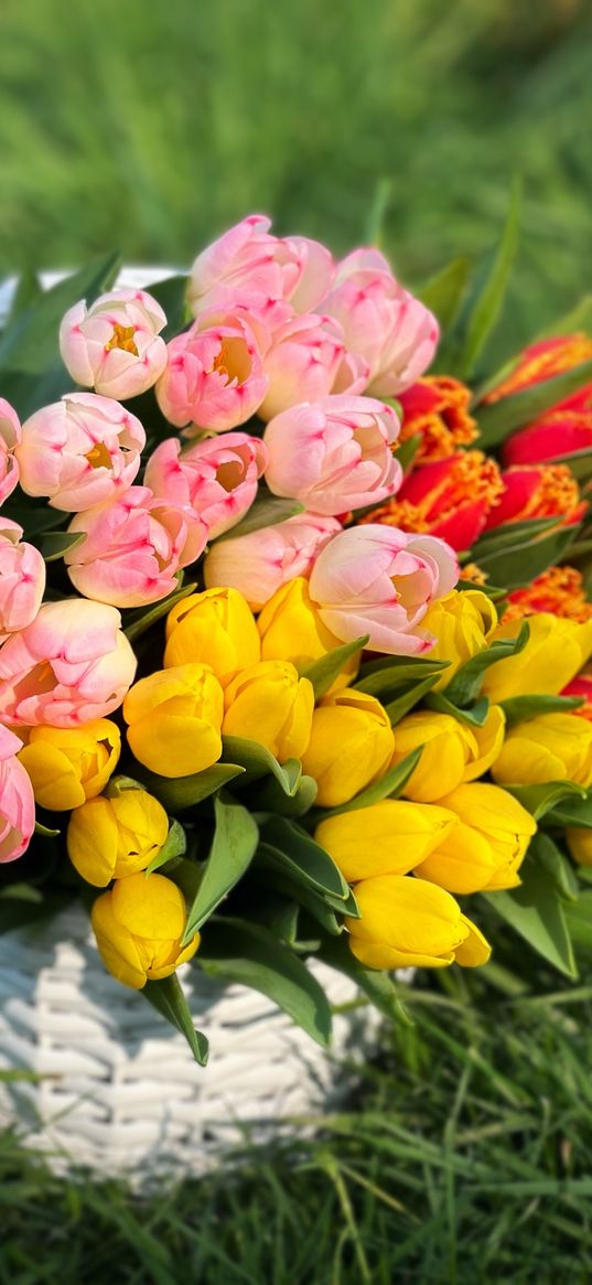 tulip, flowers, bouquet, basket