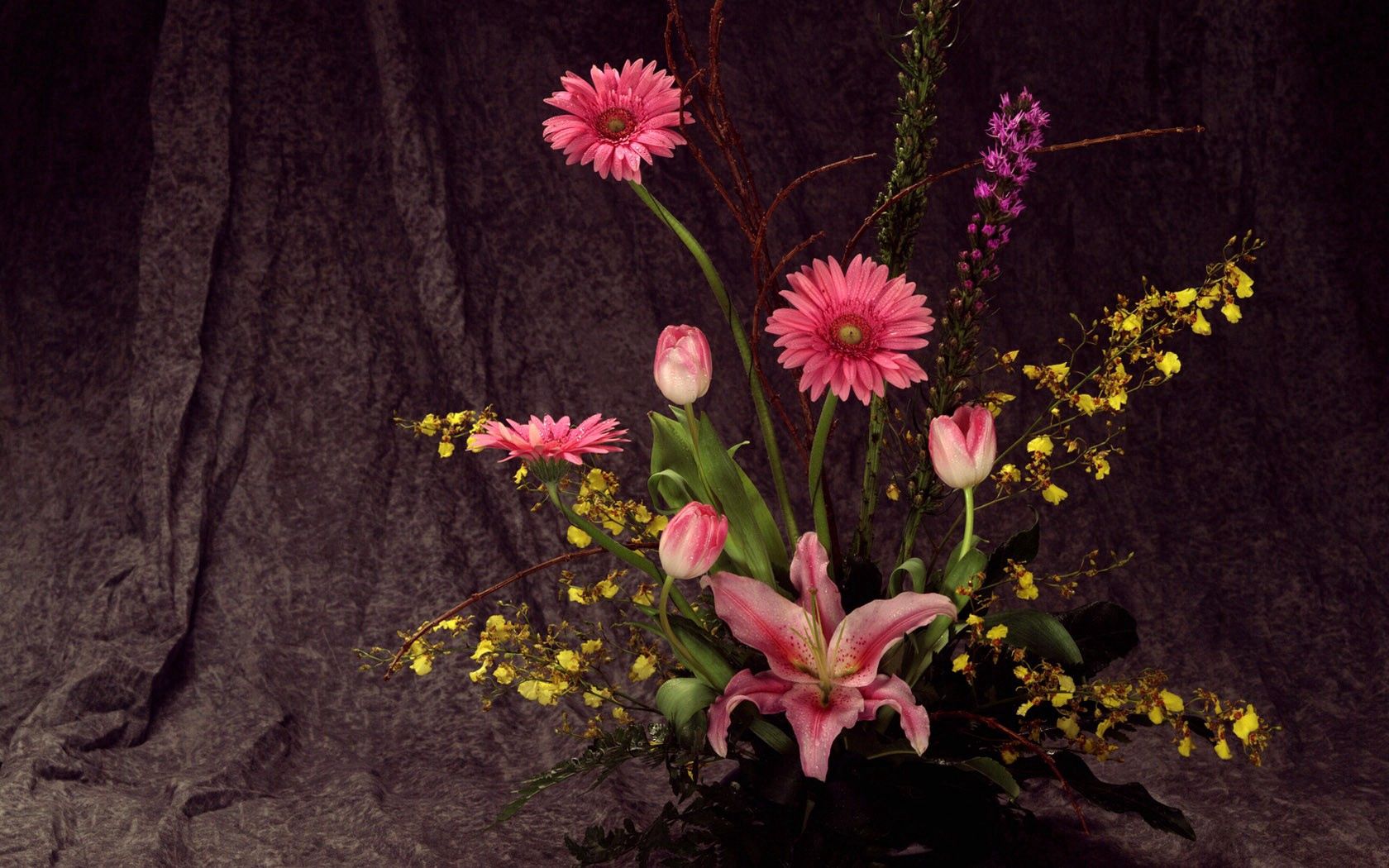 gerberas, tulips, flowers, song, lily, ikebana