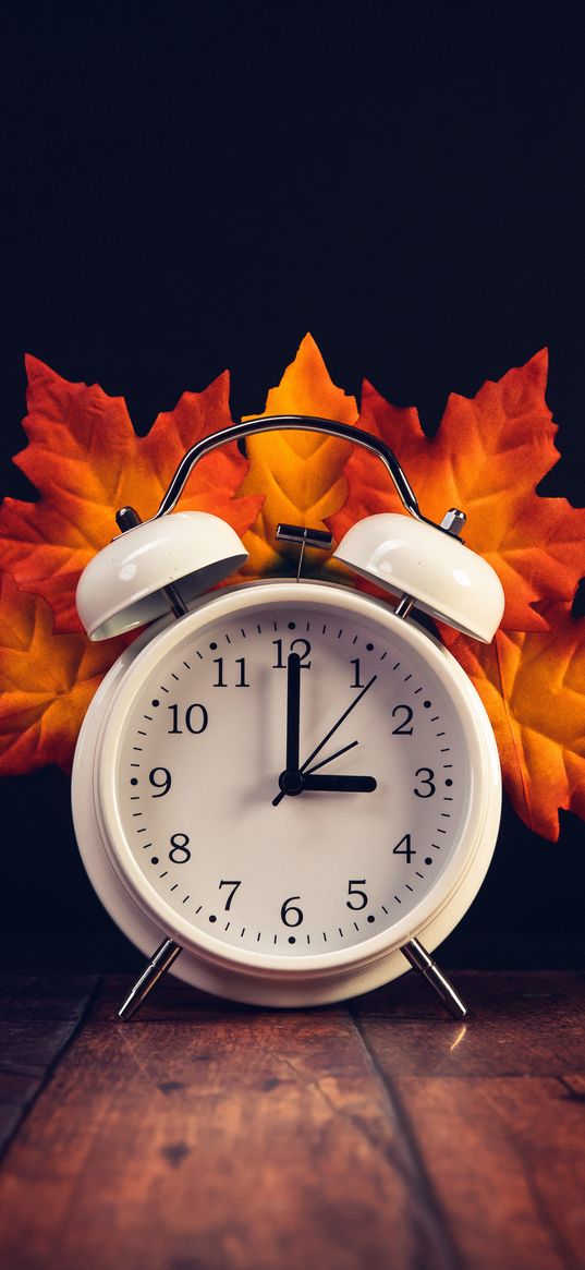 clock, alarm clock, leaves, tree, autumn