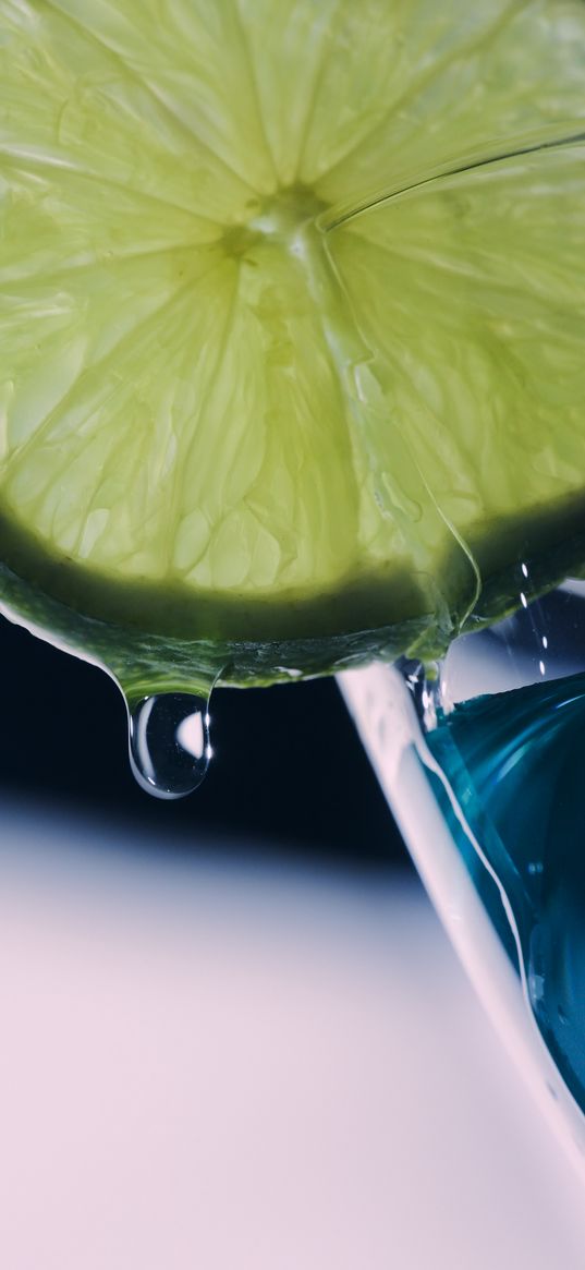 lime, slice, drop, macro