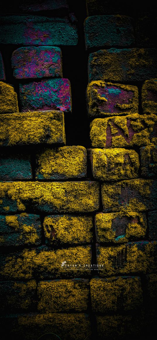 wall, bricks, moss, yellow, pink