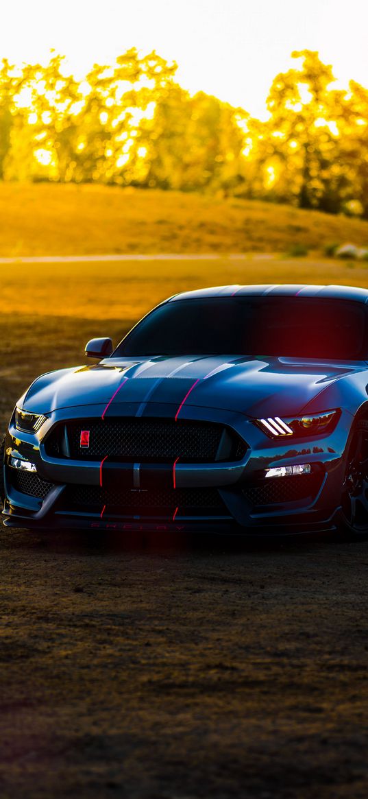 ford mustang shelby, ford, car, blue, stripes, field