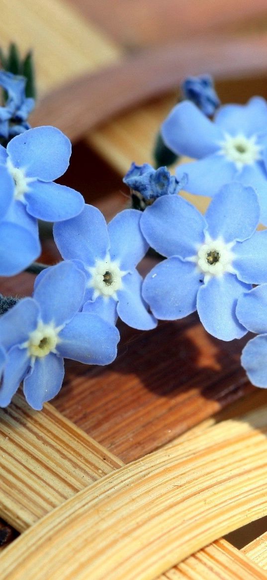 flowers, basket, small, light