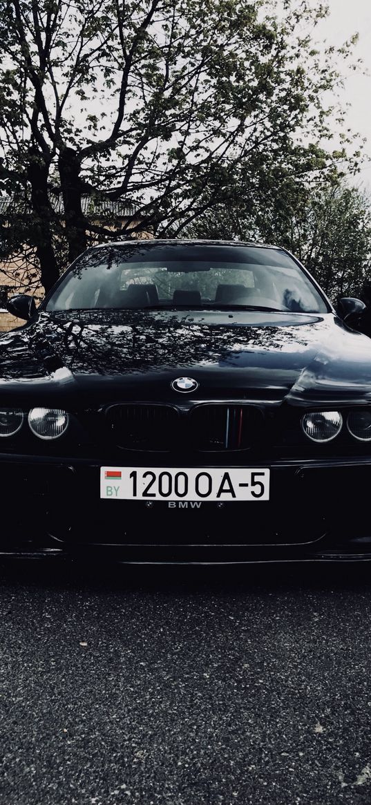 bmw m5, bmw, car, black, road, wood