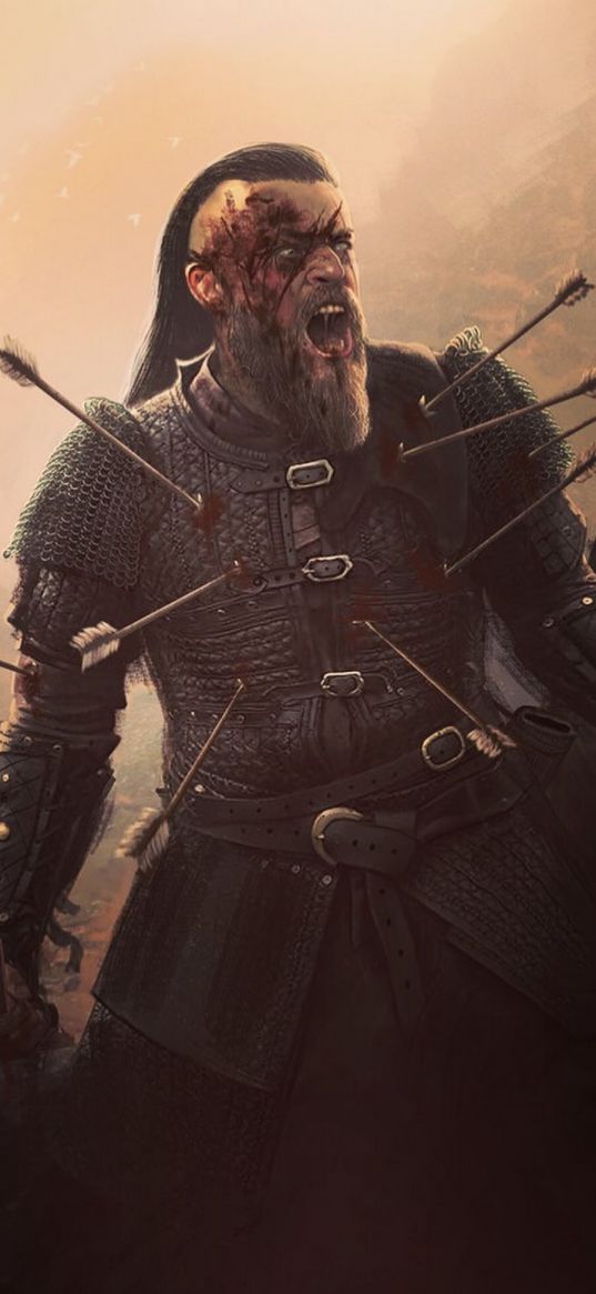 vikings, harald, arrows, art