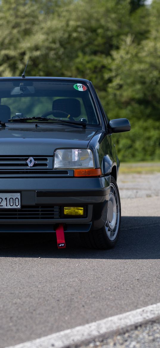 renault 5, renault, car, gray, road, trees