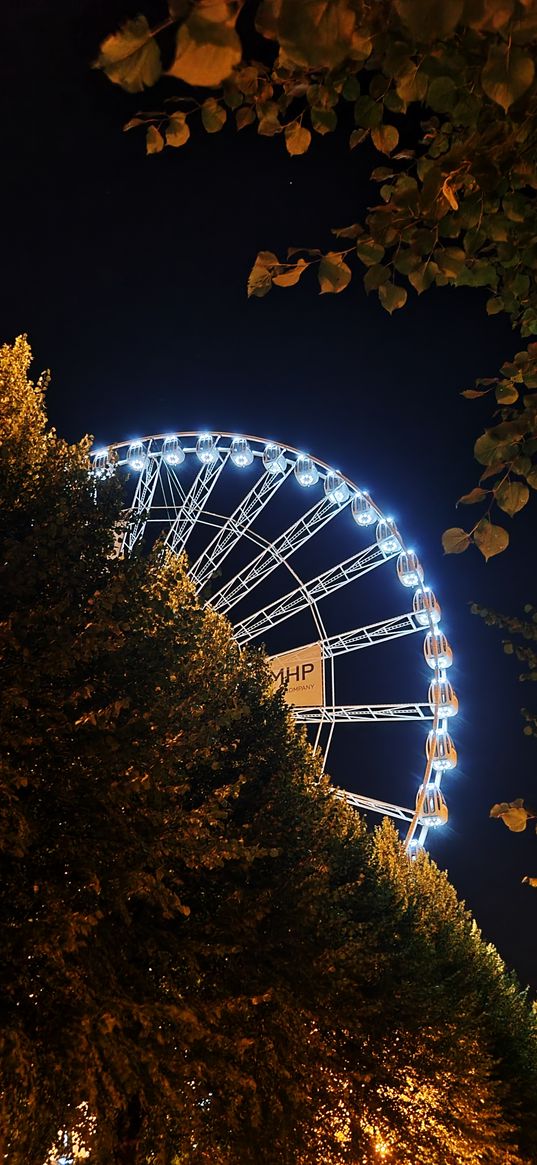 ferris wheel, attraction, trees, park, lights, night