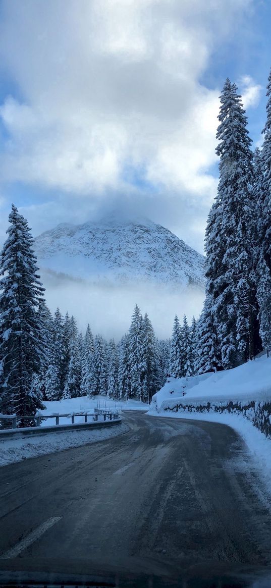 road, christmas trees, forest, mountain, snow, winter, car, clouds, blue sky, nature