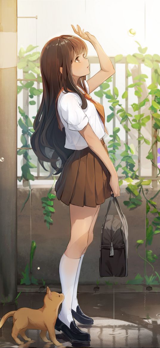 schoolgirl, girl, beautiful, cute, cat, bag, puddle, street, light, summer, anime, art