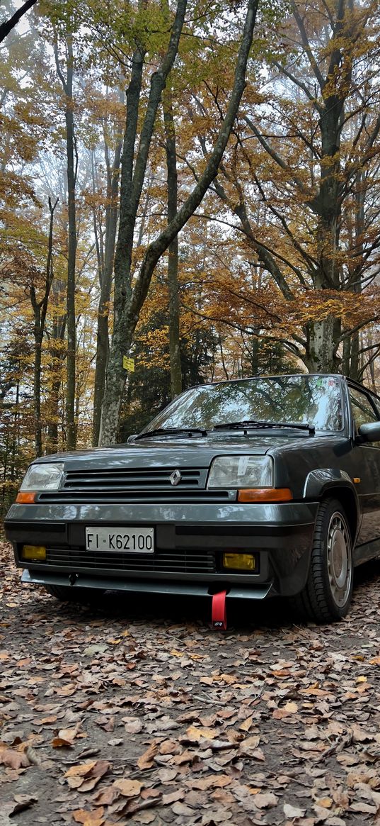 renault 5, renault, car, gray, leaves, trees, forest, autumn