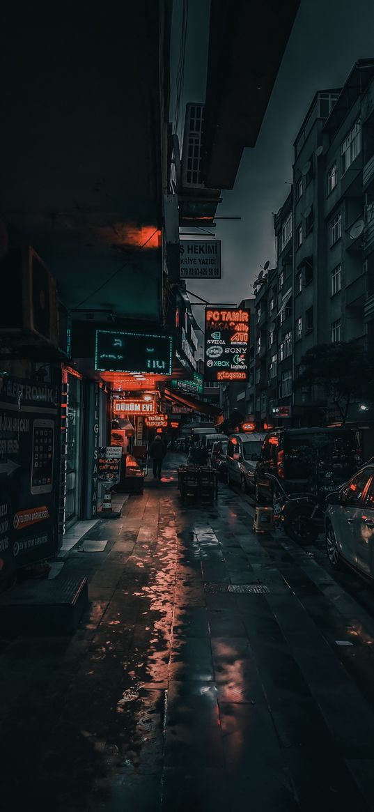 houses, cars, people, street, rain, signage, neon, lights, dark, city