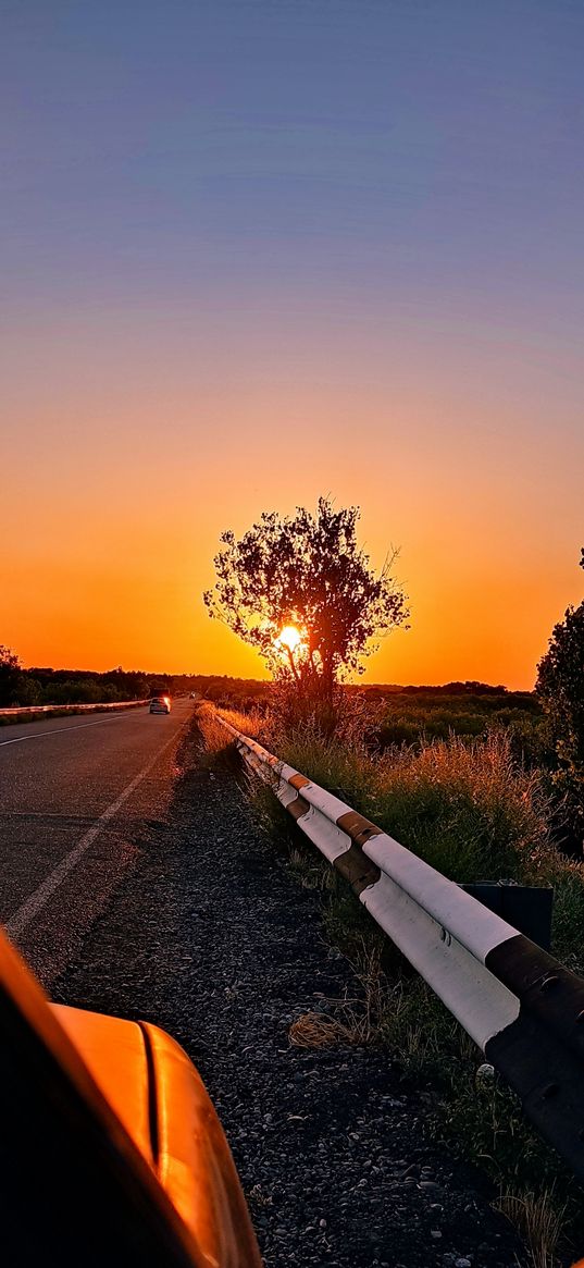 car, road, travel, fence, trees, sun, sky, sunset, evening, nature