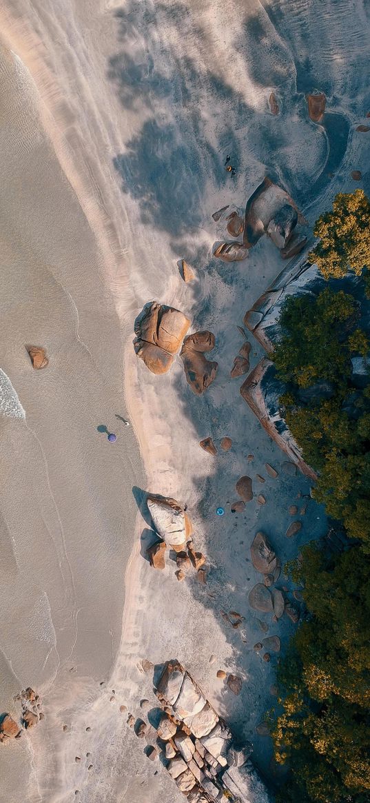 beach, sea, rocks, shore, trees, forest, jungle, nature