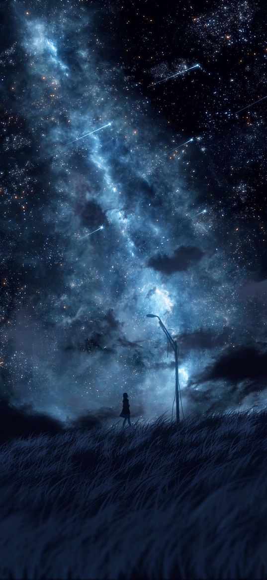 anime, girl, art, starry sky, milky way