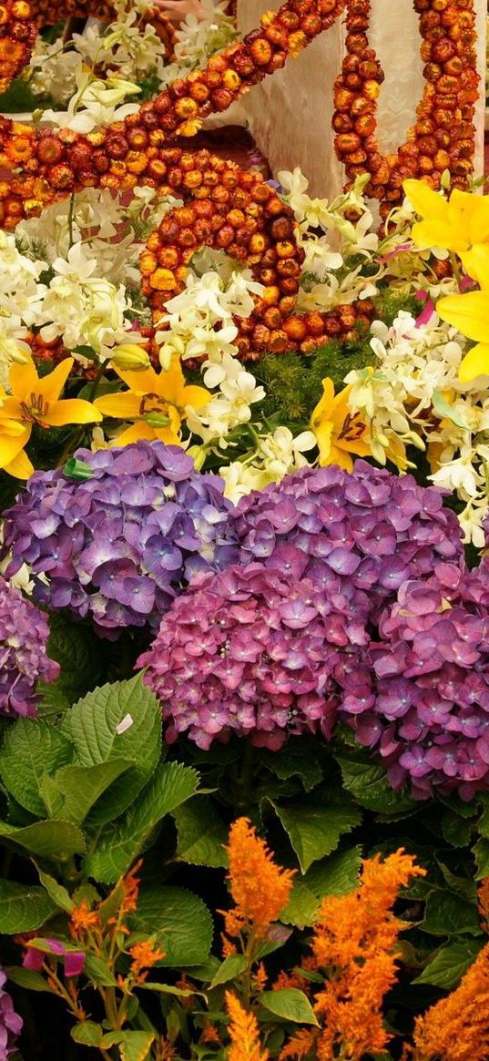 hydrangea, lilies, flowers, herbs, variety