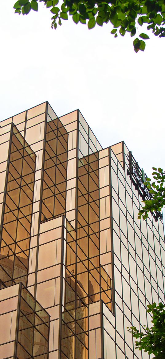 facade, building, trees, twigs