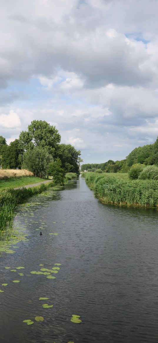 river, grass, park, trees, netherlands