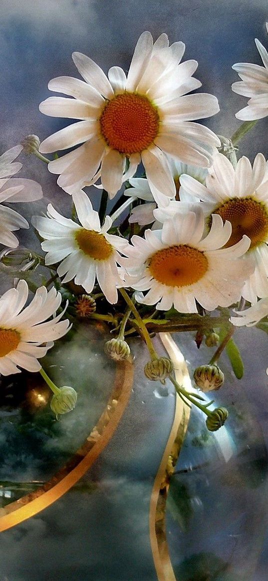 chamomile, flowers, bouquets, vase, sky, clouds, background