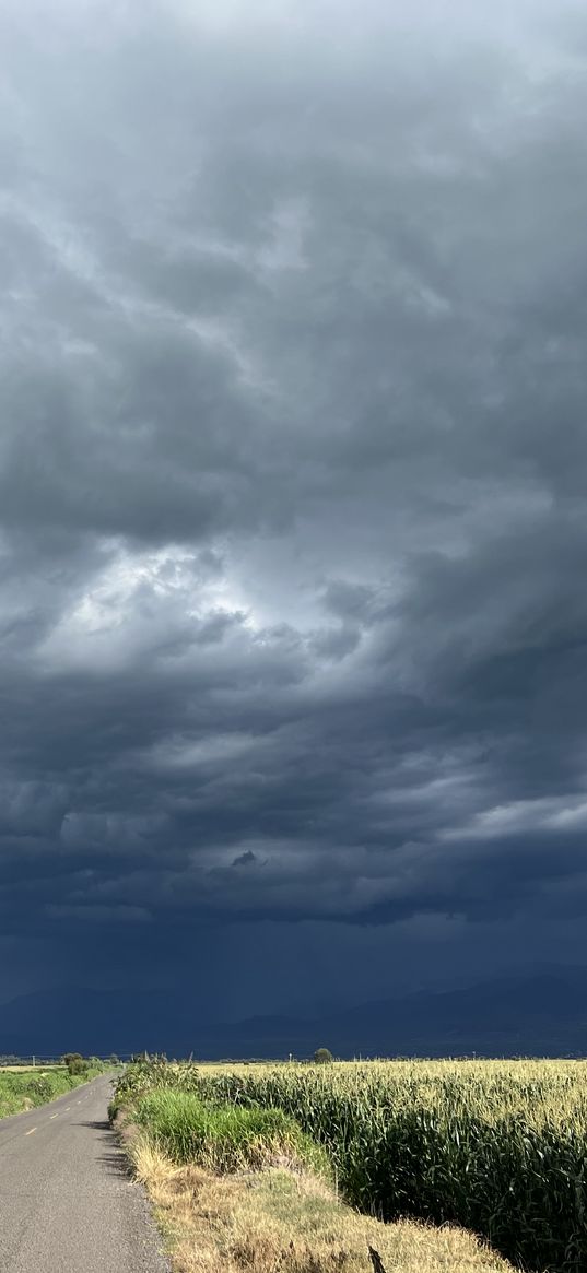 road, field, clouds, rainy, cloudy, nature