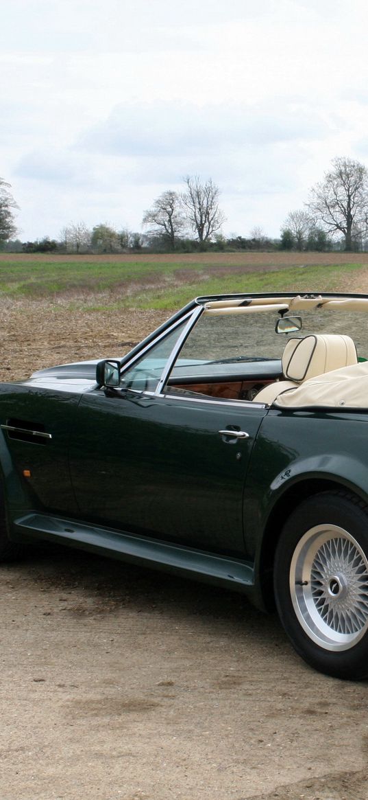 aston martin, v8, vantage, 1987, green, side view, cabriolet, nature