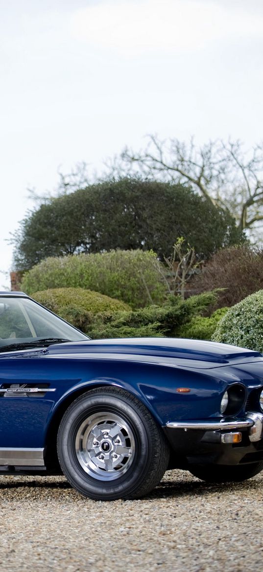 aston martin, v8, volante, 1977, blue, side view, cars, shrubs