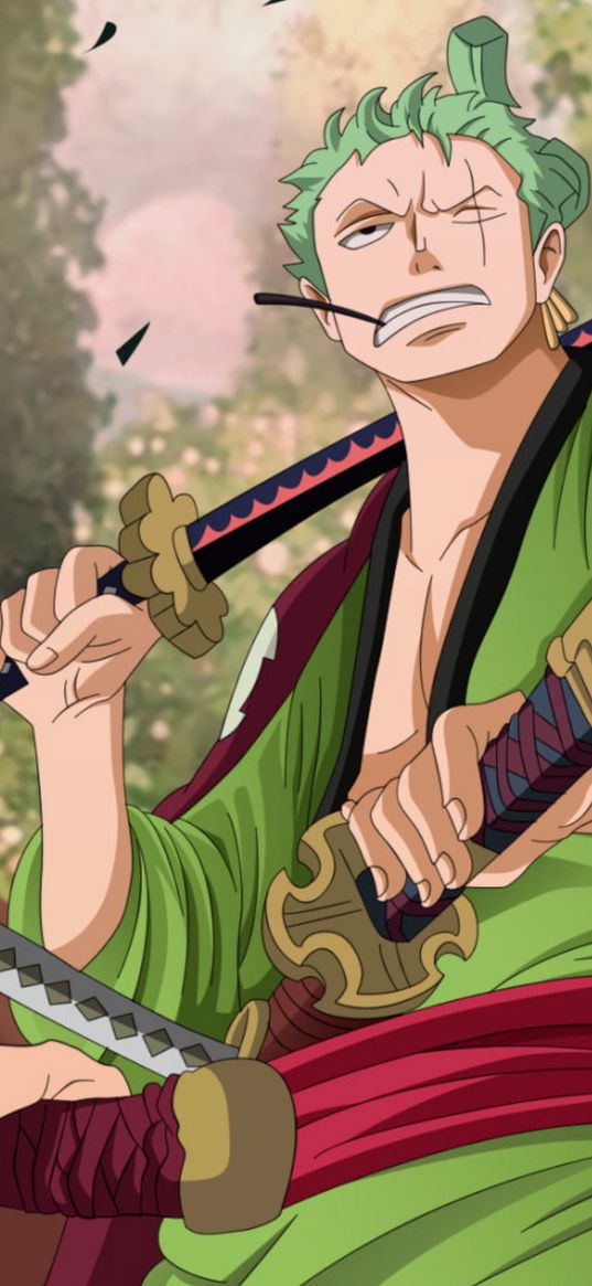 roronoa zoro, one piece, anime