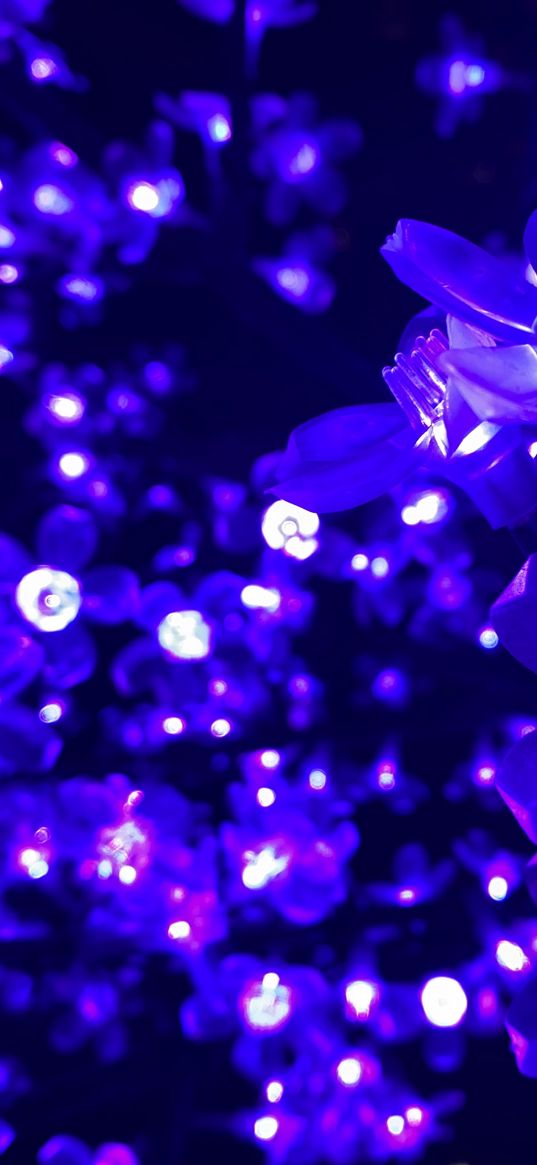 garland, flowers, light bulbs, purple, blue, decoration