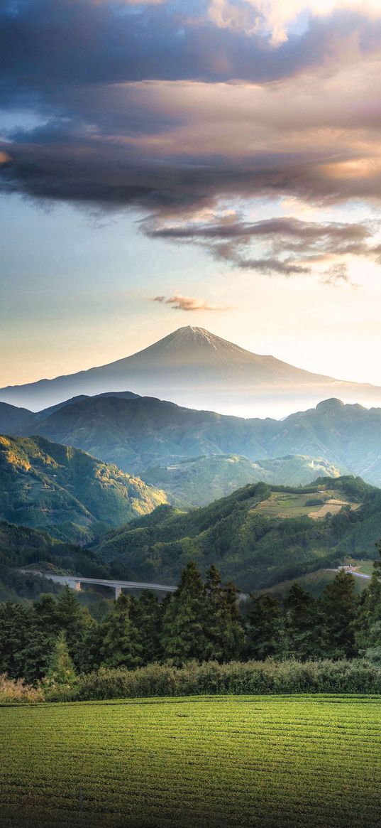 plantation, field, trees, forest, mountains, hills, volcano, bridge, sky, clouds, landscape, nature