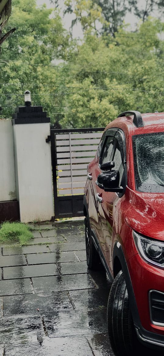 renault, car, red, rain