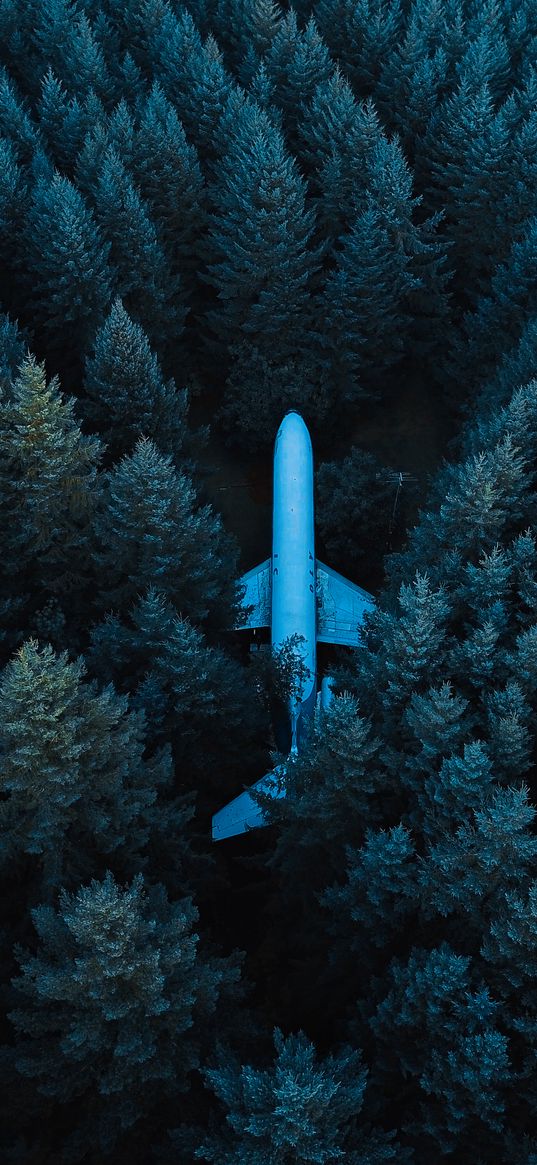 trees, forest, plane