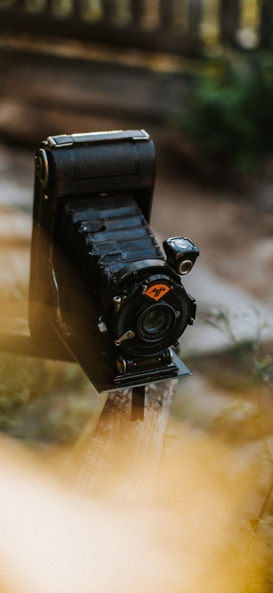 camera, retro, vintage, plant, fence, street, technique