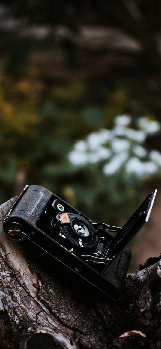 camera, retro, vintage, log, flowers, nature, technique