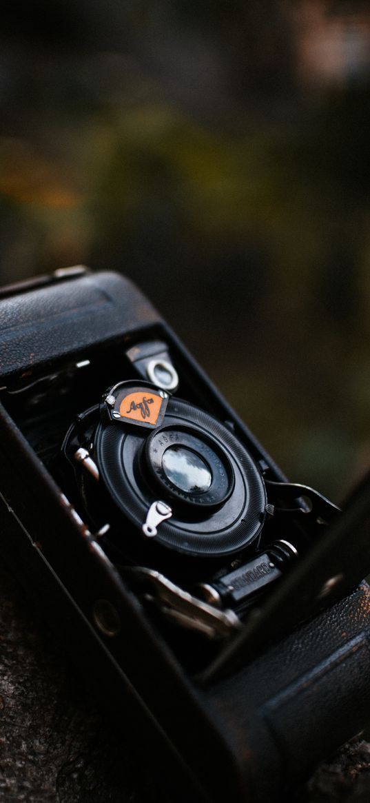 camera, retro, vintage, log, bokeh, technique