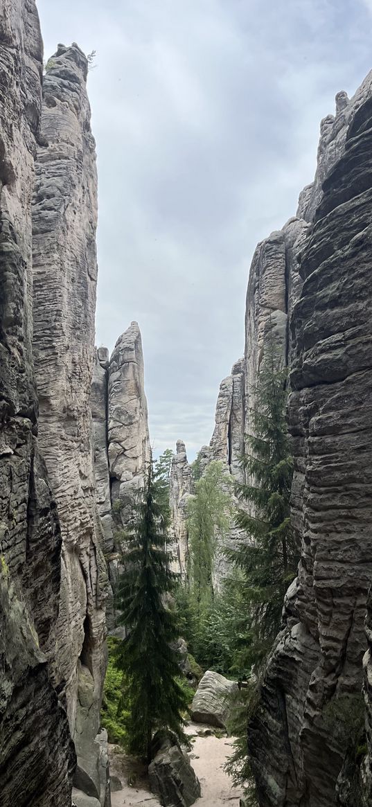 mountains, rocks, christmas trees, canyon, gorge, cloudy, nature