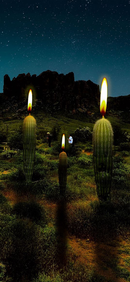 candles, night, forest, stars, hd, cacti, fantasy