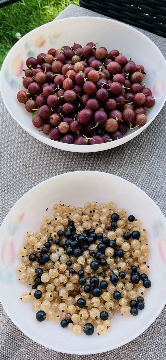 wallpapers, summer, pictures, berries, currants, gooseberries