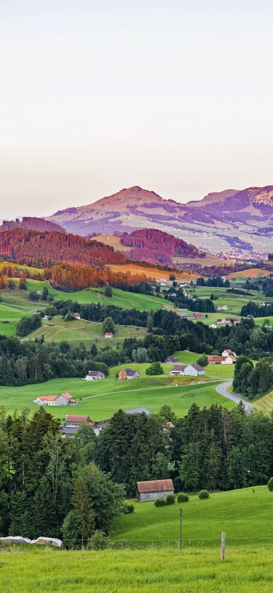 valley, trees, grass, houses, mountains