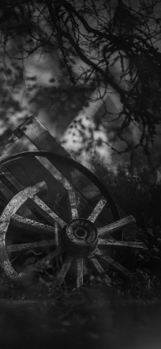 wheel, cart, old, branches, dark, black and white