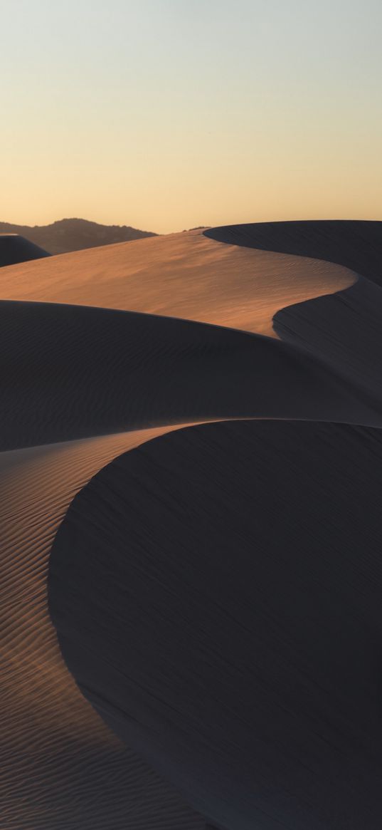 dawn, desert, sahara, dune, sand