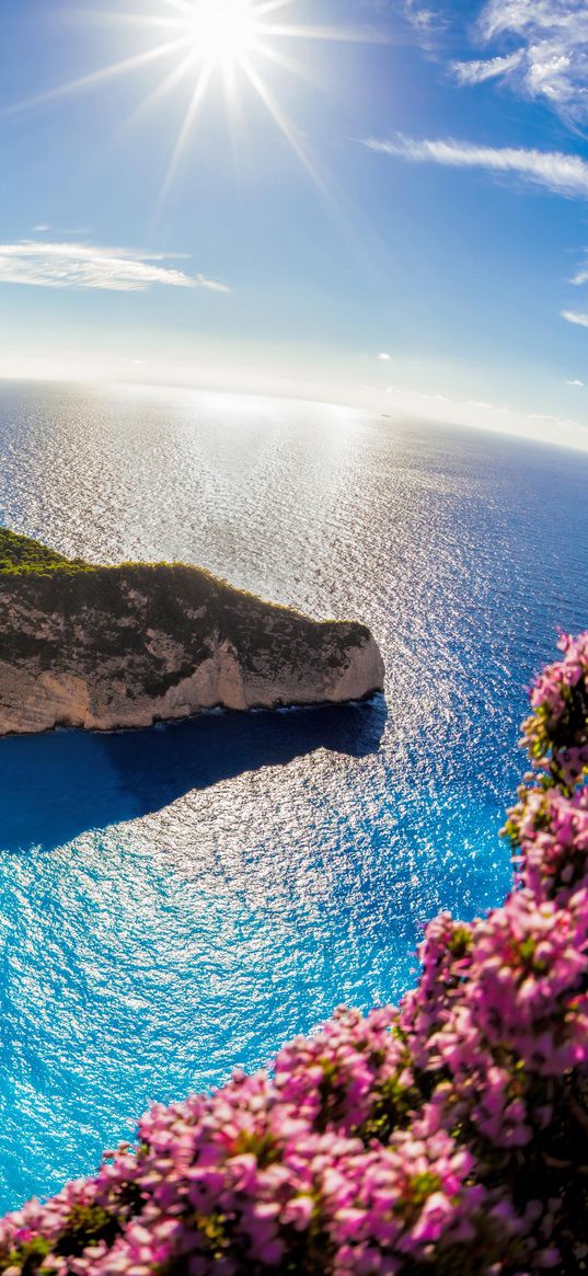 cape, sea, plants, flowers, sky, sun, fish eye