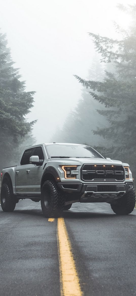 ford f-150 raptor, ford, car, white, fog, road, forest