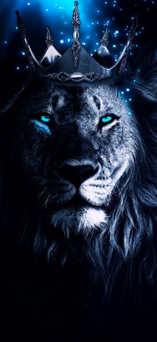 lion, animal, predator, crown, light, blue