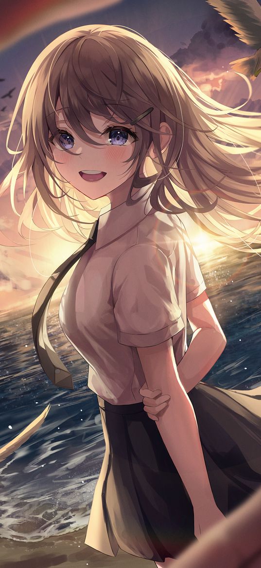 girl, anime, art, sea, seagulls, frame, hands