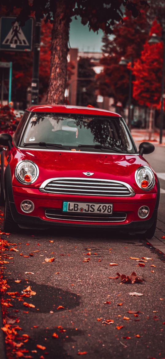 mini cooper, car, red, road, trees, street, autumn