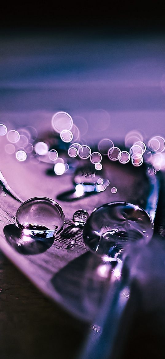 drops, water, feather, glare, macro, bokeh