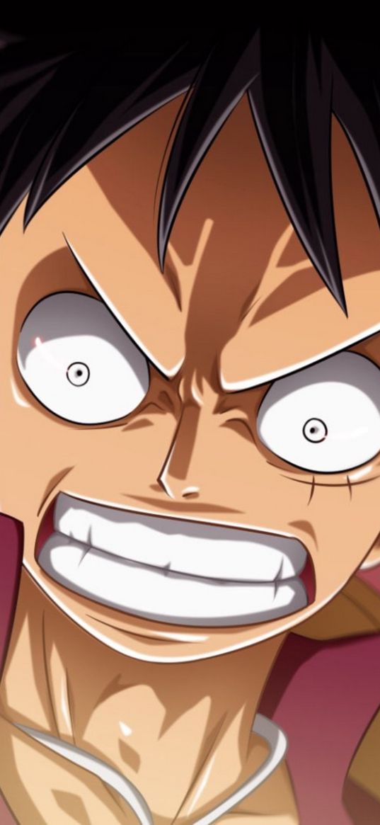 luffy, one piece, anime, character, look, rage