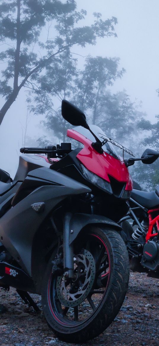 motorcycles, bikes, trees, forest, fog, nature