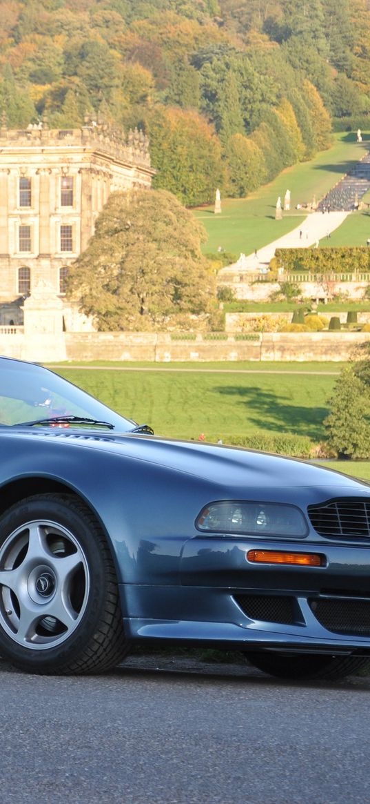 aston martin, v8, vantage, 1998, blue, side view, cars, nature, trees